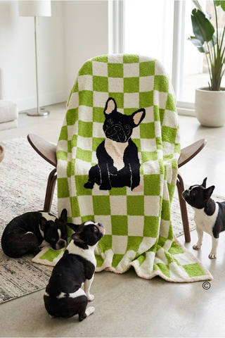 ETA 6/30 - Walter Wiggles Check Blanket©