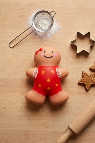 ETA 8/24-9/7 Gingerbread Girl Cookie Squishy Toy