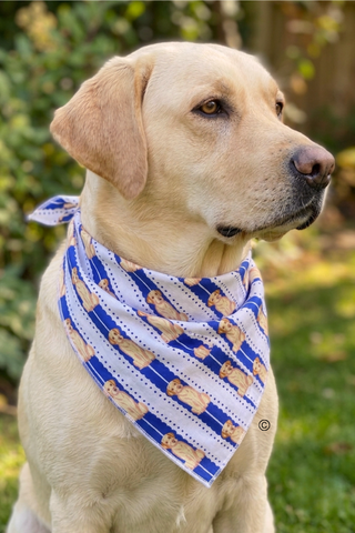 ETA 7/30-8/13 All American Charlie Bandana©
