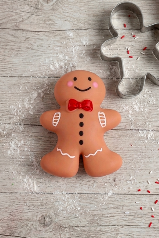 ETA 8/24-9/7 Gingerbread Man Cookie Squishy Toy