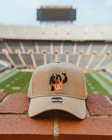 A Vol's Best Friend Embroidered Smokey Hat